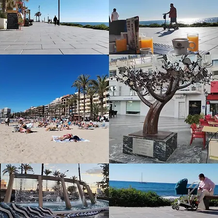 Апартаменты Beach-city-torrevieja Торевьиа