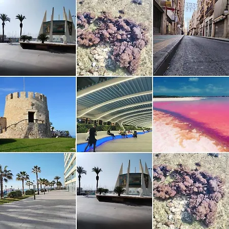 Beach-city-torrevieja