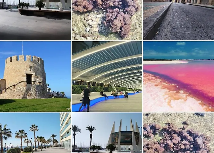 Beach-city-torrevieja-pmt23